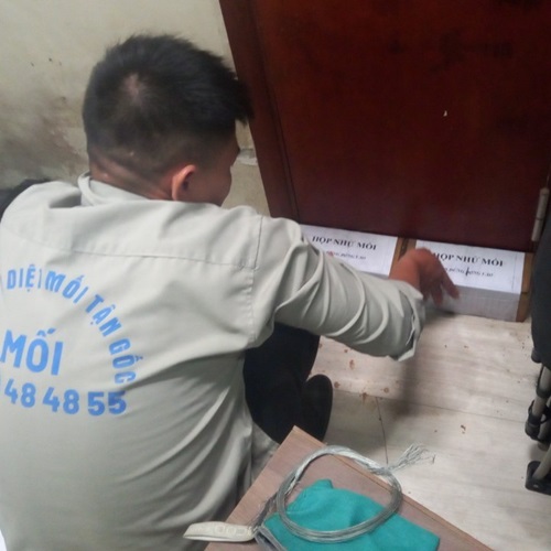 Đặt hộp nhử diệt mối khuôn cửa tại công ty ở Hà Giang