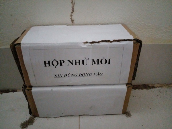 Cách Diệt Mối Trong Tường Nhà 