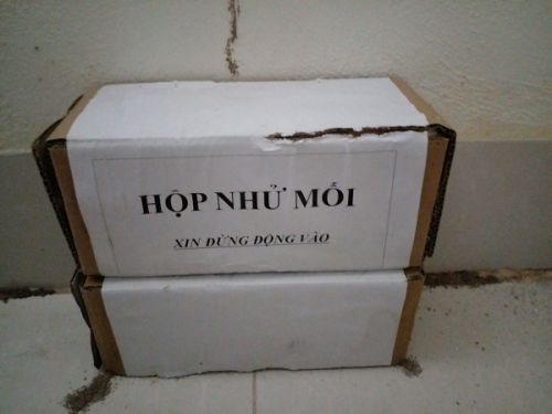 Diệt Mối Tại Huyện Vụ Bản 