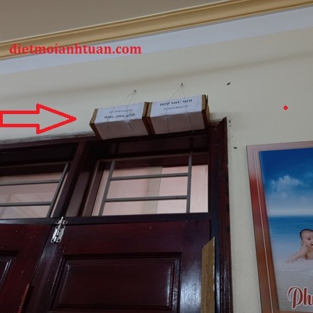 Phương pháp diệt mối khuôn cửa không cần đào bới, tìm tổ