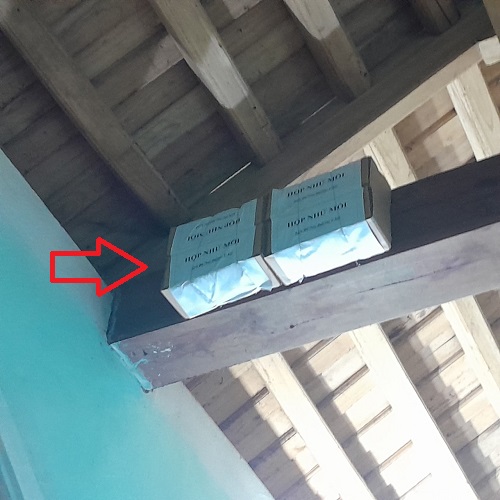 Diệt mối xông trần nhà theo phương pháp lây truyền tại Biên Hòa
