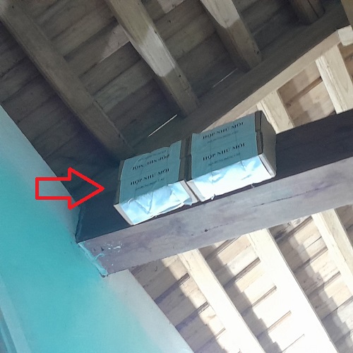 Dịch Vụ Diệt Mối Tại Thành Phố Vinh