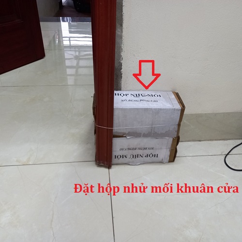 Đặt hộp nhử mối khuân cửa nơi có mối đi lại 