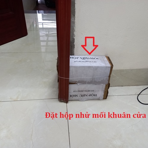 Diệt mối tại huyện Mường Khương bằng hộp nhử mối sinh học