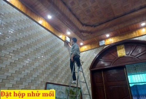 Diệt mối tại phường Đức Thắng 