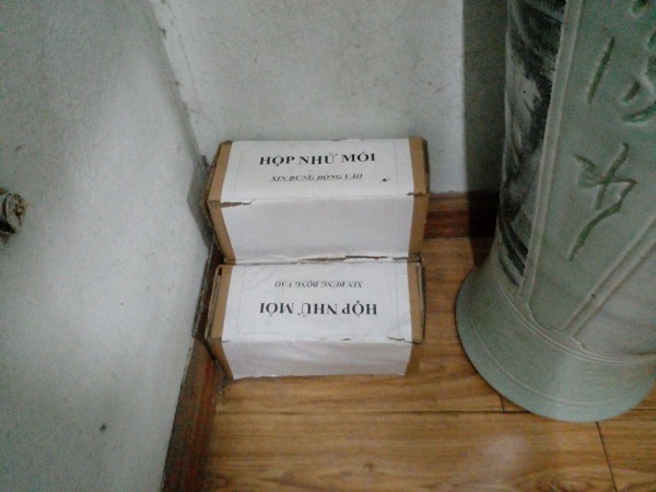 Dịch vụ diệt mối tại tỉnh Bình Dương 