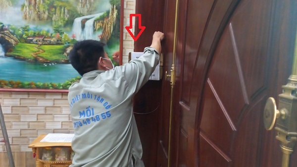 Cách đặt hộp nhử mối 