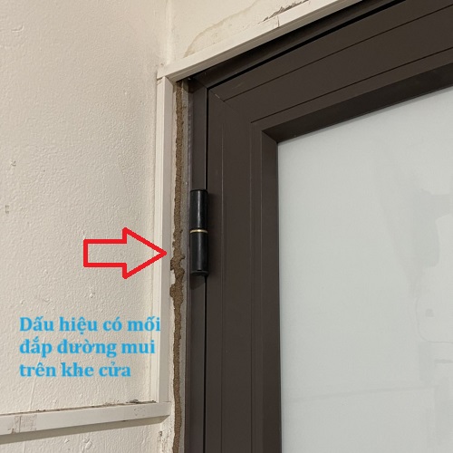 Diệt Mối Tại Nhà Giá Bao Nhiêu?