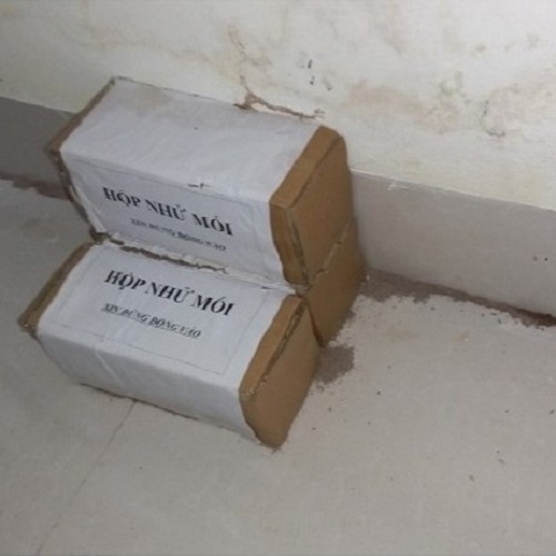Công Ty Diệt Mối Tận Gốc Tại Huyện Hóc Môn