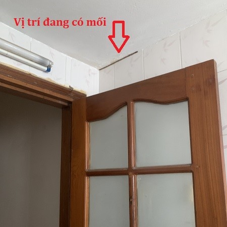 Khảo sát mối xông tràn nhà tắm