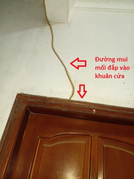 Dấu hiệu mối đắp ống bùn vào gây hại khuân cửa gỗ 