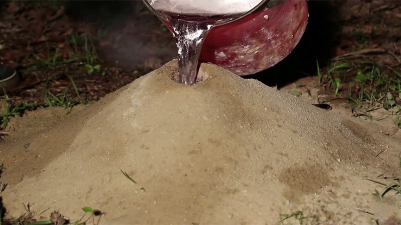 Rót thuốc diệt mối dạng lỏng vào tổ mối đất tại Văn Giang