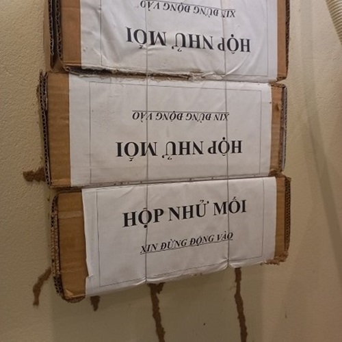 Hình ảnh mối đã vào hộp nhử ăn mồi rất tốt
