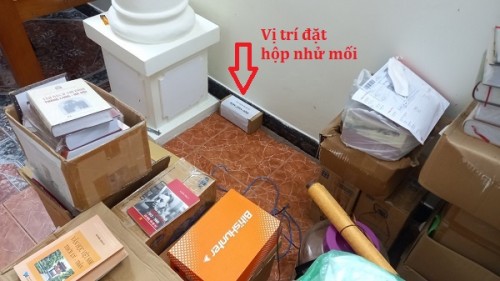 Dịch vụ diệt mối tại Quận 6 