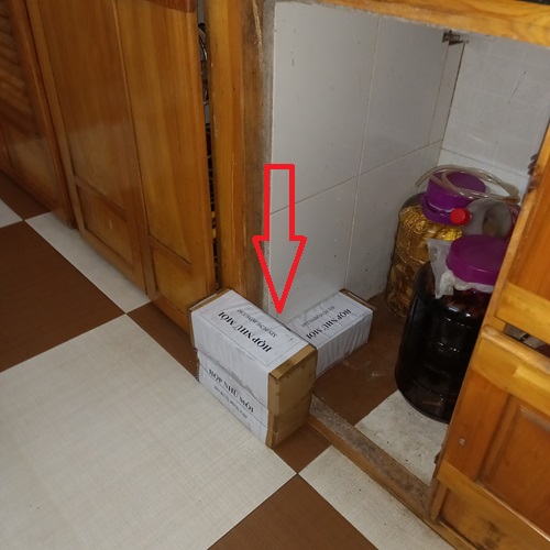 Đặt hộp nhử mối vào các vị trí bạn phát hiện thấy mối hoạt động