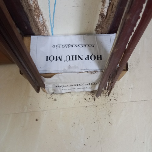Nhử mối diệt theo phương pháp lây truyền tận tổ