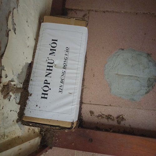 Dịch Vụ Diệt Mối Tận Gốc Tại Huyện Cô Tô