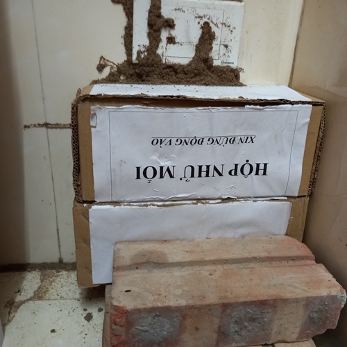 Đặt hộp nhử mối bên trong ổ điện
