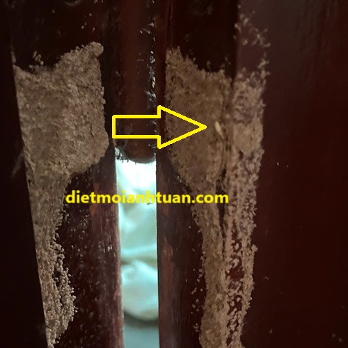 Dấu hiệu nhận biết đang có mối xông khuôn khe cửa