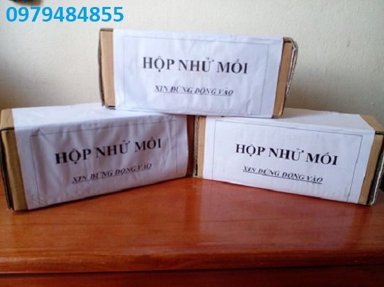 hộp nhử mối 