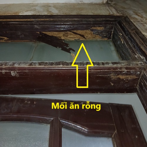 Chiếc khuôn cửa bị mối tàn phá sạch