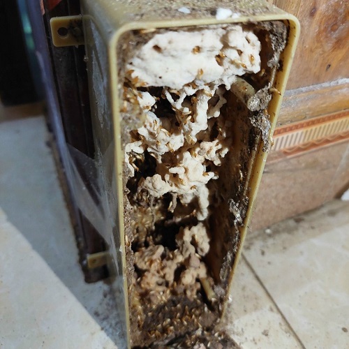 Diệt mối xông kho chứa hàng bằng bà an toàn