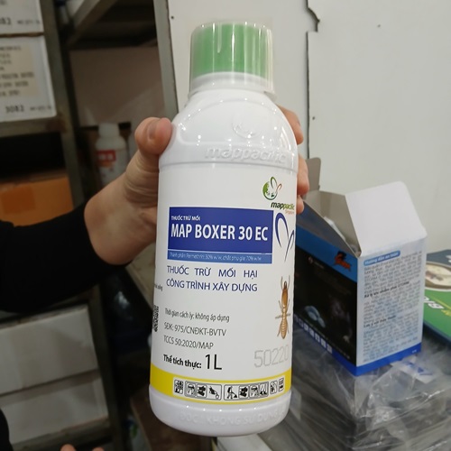 Thuốc diệt trừ mối cho công trình đang cải tạo