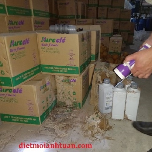 Kỹ thuật viên đang khảo sát mối gây hại kho hàng