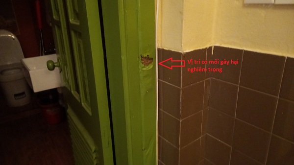 Dấu hiệu vết sùi gỗ trên khuân cửa là nhà có mối 