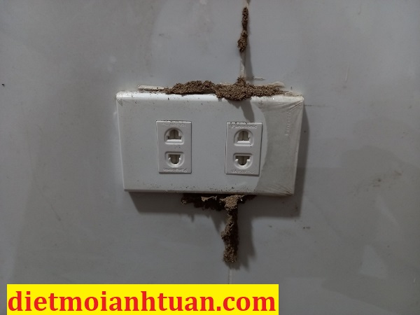 Khảo sát mối xông ổ điện gây nhảy áp