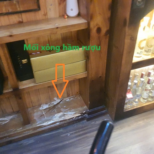 Khảo sát kiểm tra mối đang gây hại tủ rượu