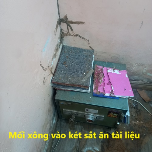 Mối xông vào khu lưu trữ tài liệu của cơ quan ở Phước Sơn