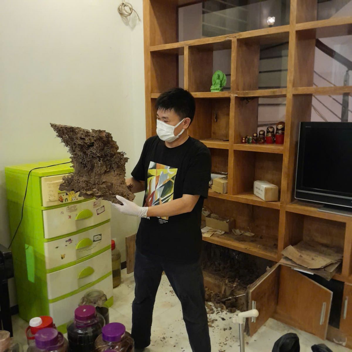 Mối xông tủ đựng rượu gây mục rỗng và đắp ụ đất lớn bên trong tủ