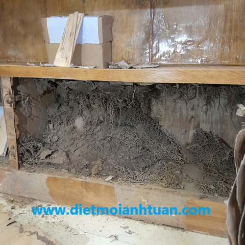 Thiệt hại do mối gây ra đối với chiếc tủ gỗ đã bị mối ăn mục rỗng