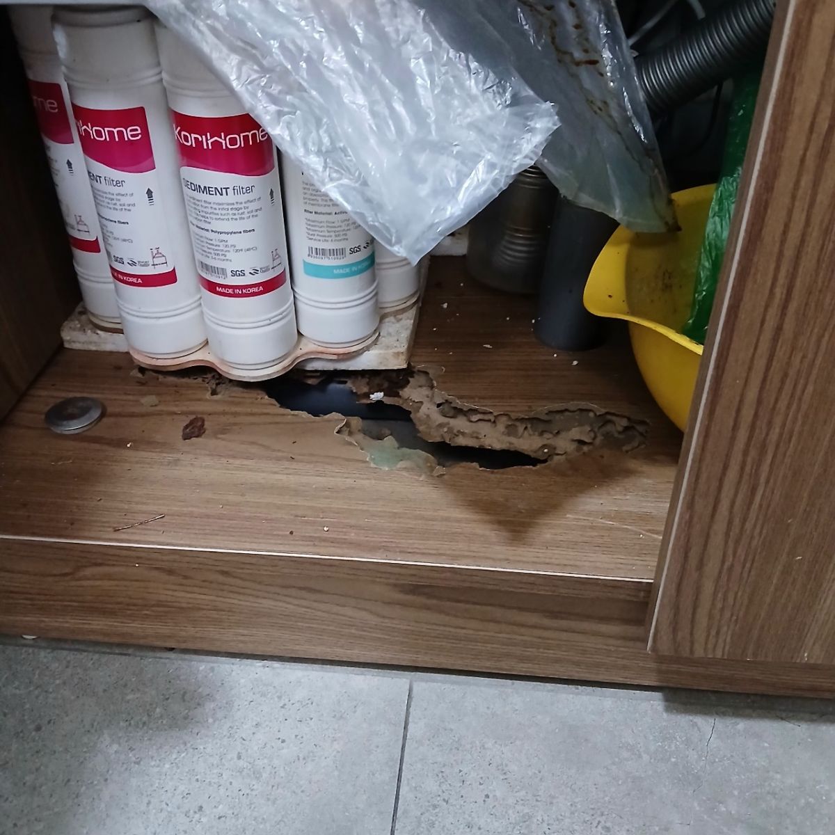 Khảo sát kiểm tra tủ bếp bị mối ăn rỗng do không phát hiện sớm