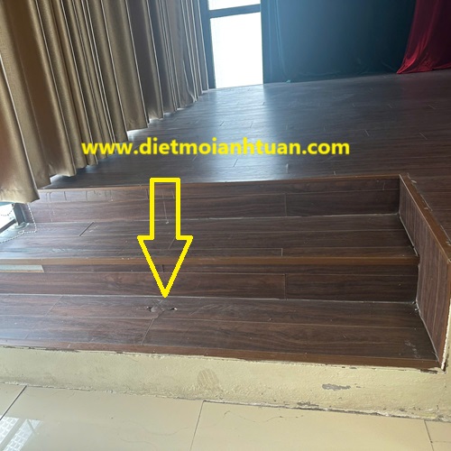 Dịch Vụ Diệt Mối Tại Phường Nhiêu Lộc, Tp HCM