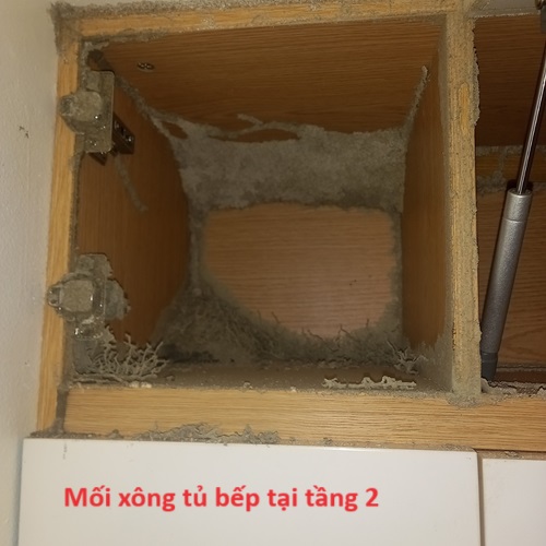 Dấu hiệu có mối đang gây hại tủ bếp