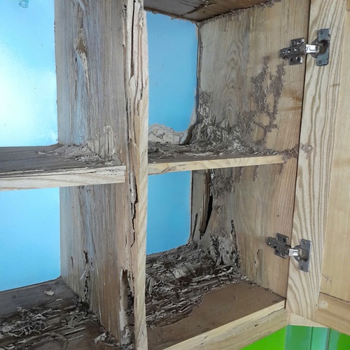 Khảo sát tủ bếp bị mối ăn tan hoang