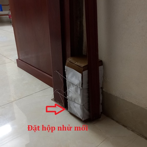 Đặt hộp nhử mối tại nhà 