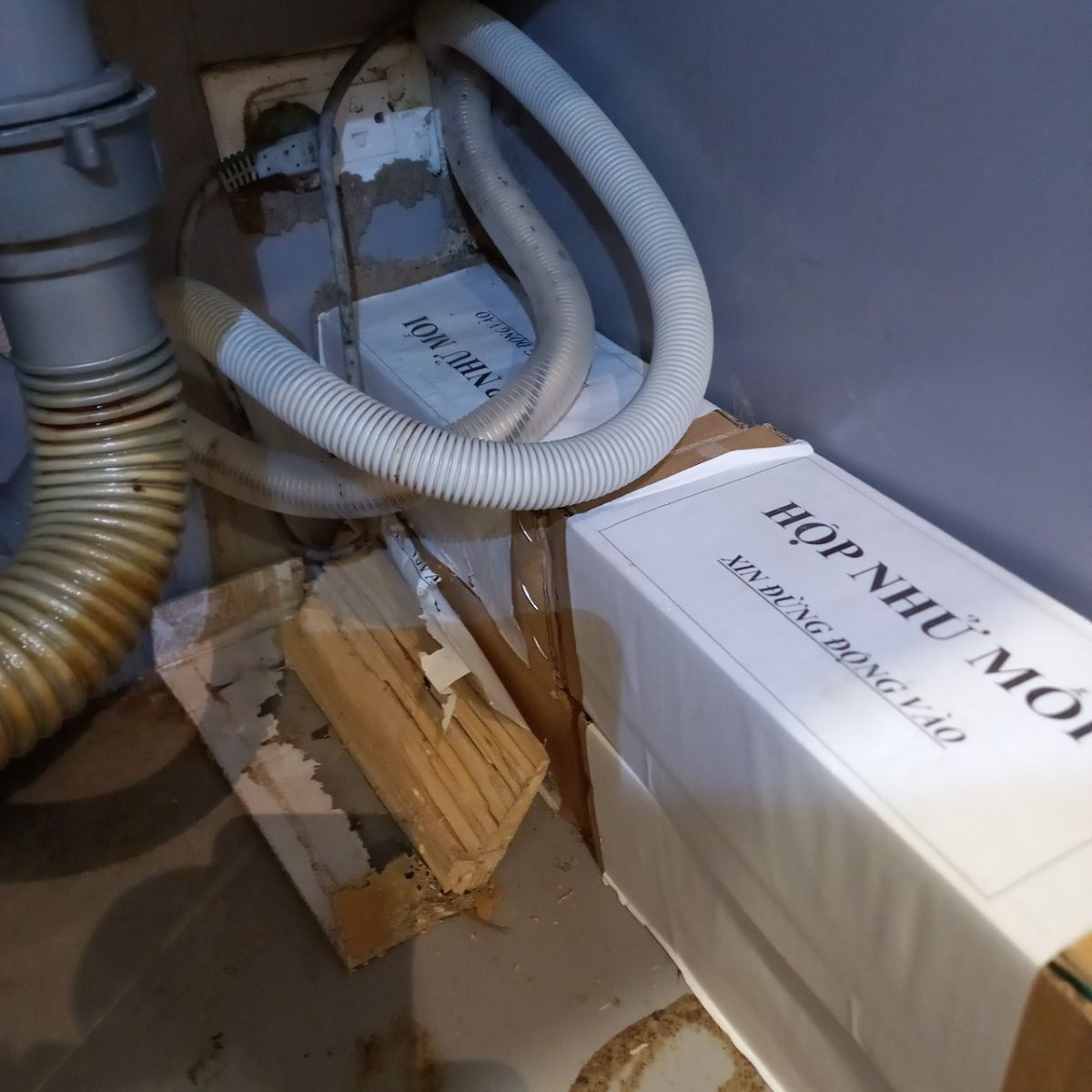 Đặt hộp nhử mối vào vị trí có mối ngay sau khi phát hiện thấy mối