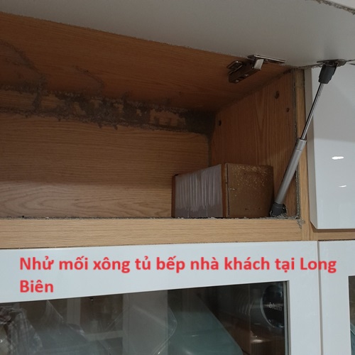 Đặt mồi nhử mối tủ bếp nơi khảo sát có mối hoạt động