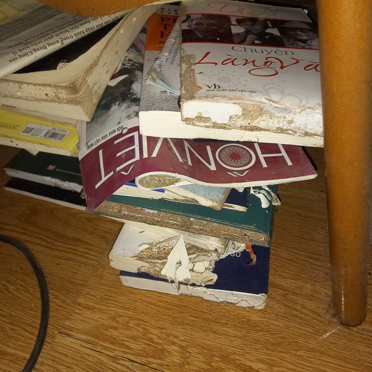 Khảo sát kiểm tra phát hiện sớm mối ăn tủ sách