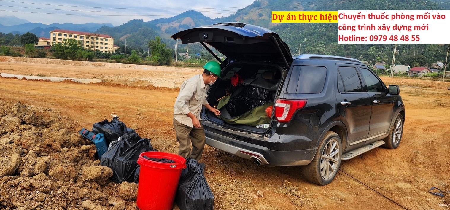 Phòng mối công trình xây dựng mới 