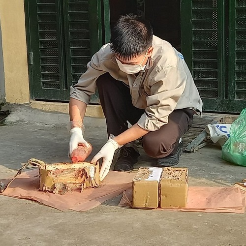Phun thuốc mối yêu cầu phải có kỹ thuật cao để tránh mối chết mà không về được tổ
