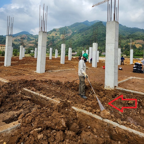 Phòng chống mối cho công trình xây dựng mới tại huyện Cần Giờ