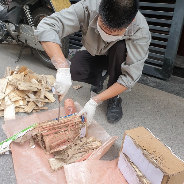 Thợ phun thuốc diệt mối có tâm nhất tại Từ Sơn