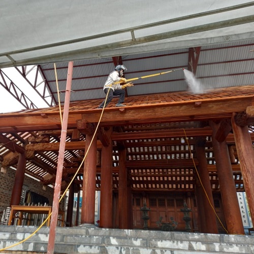 Cung cấp dịch vụ phòng chống mối tại huyện Xuân Trường