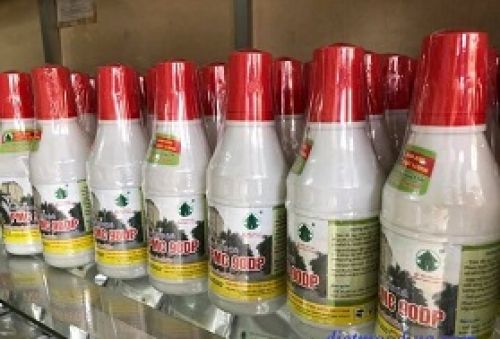 Thuốc Diệt Mọt Gỗ 