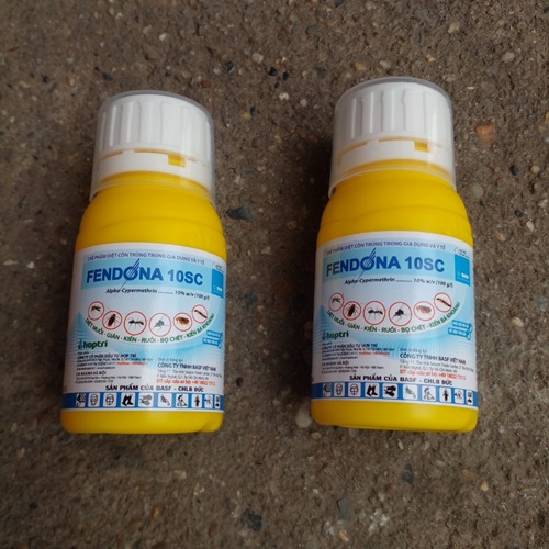 Cách Diệt Bọ Chét Tại Nhà Đơn Giản