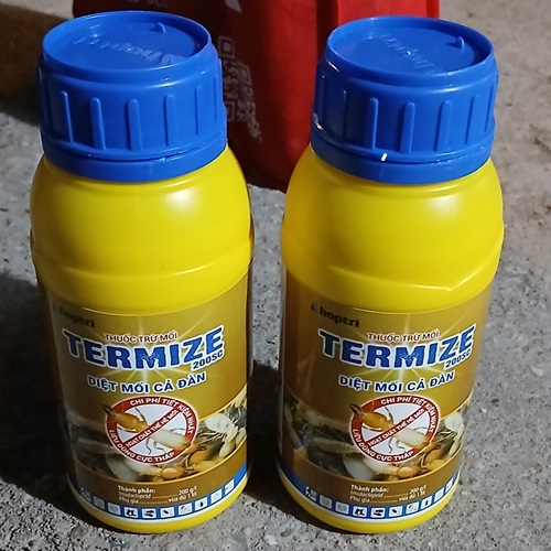Dịch Vụ Diệt Mối Tận Gốc Tại Huyện Triệu Phong